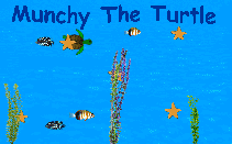 Play Munchy The Turtle
